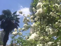 -西安外国语大学(雁塔校区)