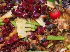 -老板恋上鱼(恒隆广场店)