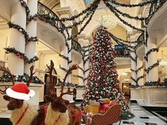 -Salon de Ville浦江汇(上海外滩华尔道夫酒店店)