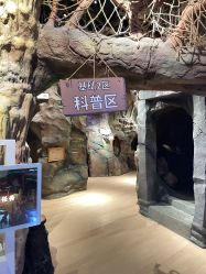-探洞工场(丰科万达旗舰店)