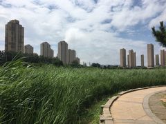 -前关湿地公园