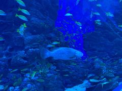 -成都浩海立方海洋公园