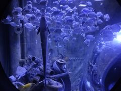 -成都浩海立方海洋公园