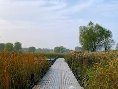-马家湾湿地公园