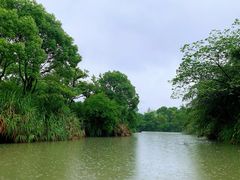 -西溪国家湿地公园