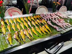 -五月罗马海鲜自助餐厅(陆家嘴店)