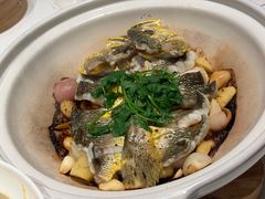 -食廬(浦东嘉里城店)