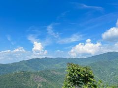 -霸王岭国家森林公园