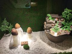 -慢丽江·云南野生菌土鸡锅(西山店)