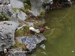 -珠海圆明新园