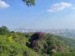 -广州市白云山风景名胜区