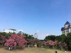 -百万葵园