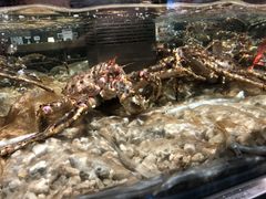 -盒马鲜生(顺义店)