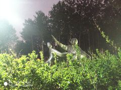 -仁和公园(顺义区)