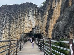 -武陵山森林公园