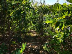 -天津东丽湖风景区