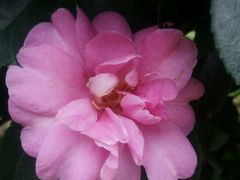 -艾溪湖湿地公园