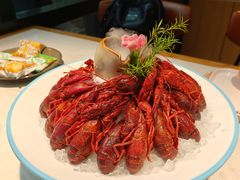 -杨氏青龙虾·羊蝎子(金盛路总店)