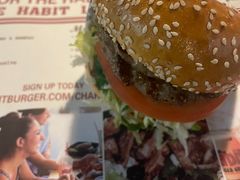 -The Habit Burger Grill 哈比特汉堡(复兴soho店)