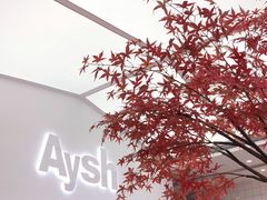 -艾薯夫妇Aysh(福田星河COCOPark店)