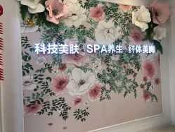 -蕾蕾美颜美容美体