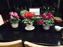 -漫渡庄绿岛花园•隐世庭园菜(滨湖店)