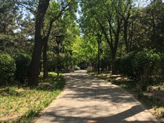 -德胜公园