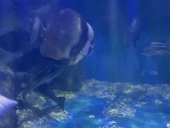 -上海长江河口科技馆