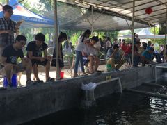 -小象钓虾·营地烧烤(洛溪店)