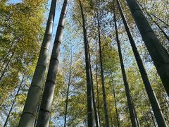 -天目湖御水温泉·度假酒店