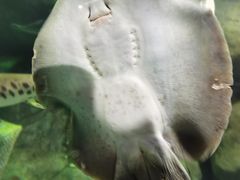 -苏州海洋馆