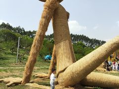 -秀丽东方