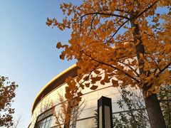 -北京国家会计学院