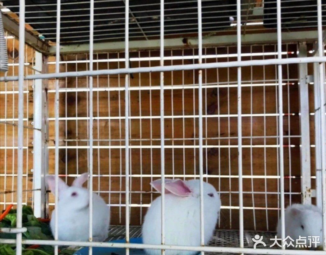 这个地方[加油]有点甜[糖果][糖果]