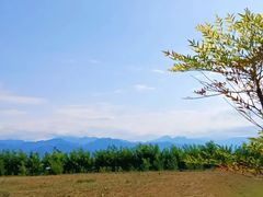 -秦岭风景区