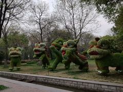-洛阳市隋唐城遗址植物园