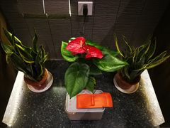 -雷神拉面(财富中心玉米楼店)