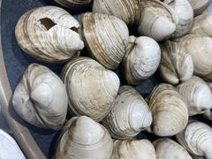 白蚬子-江合勇丹东兄弟小串海鲜烧烤(总店)