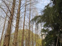 -苏州河梦清园环保主题公园