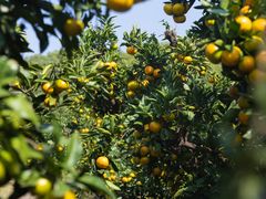 -滨江森林公园-真人CS野战场