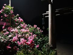 -花间酒庭院餐厅(谷山店)