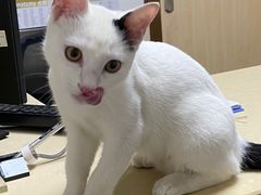 -宠颐生宠物医院外科·内科·皮肤科·影像科(石龙店)