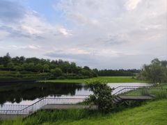 -白鹭湾湿地公园