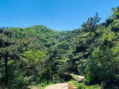 -北京西山国家森林公园