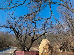 -北京西山国家森林公园