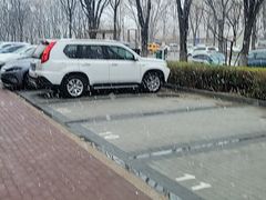 -北京佳信宠物医院