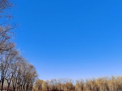 -东坝千亩湖公园