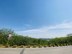 -羊山湖公园