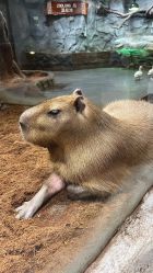 -Zoolung Zoolung动物主题公园(海信广场店)