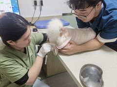 -乐派堂宠物医院·猫友好· 心脏科(东街店)